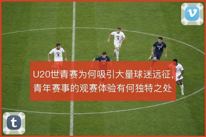 U20世青赛为何吸引大量球迷远征，青年赛事的观赛体验有何独特之处