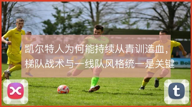 凯尔特人为何能持续从青训造血,梯队战术与一线队风格统一是关键