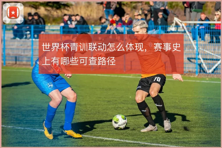 世界杯青训联动怎么体现，赛事史上有哪些可查路径
